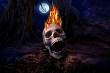 The Skull Was On Fire On Halloween Night, There Was A Moon. Halloween Concept