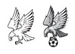 Eagle mascot with soccer football ball. Vector eagle, hawk or falcon bird holding soccer ball with claws and talons, sport club or team cartoon mascot with heraldic animal or bird of prey