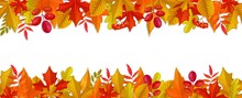 Frame With Stripes Of Autumn Leaves And Berries. Vector Autumnal Horizontal Border With Red And Yellow Foliage Of Oak, Maple, Rowan Trees. Background For Sale, Back To School Or Thanksgiving Holidays