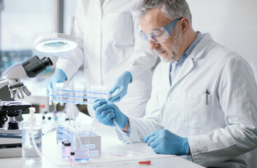 Wall Mural - medical researcher working in the laboratory
