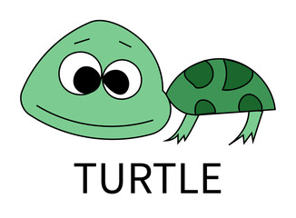 Turtle in cartoon dreaw isolated