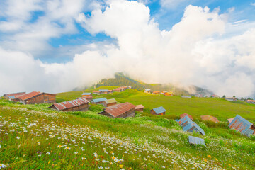 Sal Plateau in Rize in Camlihemsin, Sal highland in the Black Sea and Turkey