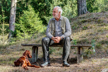 Elderly Man Sits On A Bench In The Luneburg Heath And Is Happy That He Can Spend The Nice Day With His Young Irish Setter Pointer In This Beautiful Nature.