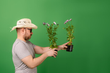 A male gardener, florist in a hat and sunglasses holds fresh flowers in pots on a green background. Plant breeding, sale.