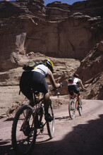 Rear View Of Four People Cycling, Canyonlands National Park, Utah, USA