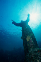 Low Angle View Of A Statue, John Pennekamp Coral Reef State Park, Florida, USA