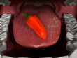 © SuperStock - Close up of the human mouth and human tongue with a hot pepper on it