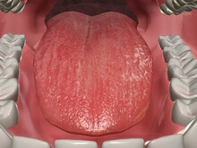 Close Up Of The Human Mouth And Human Tongue