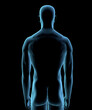 © SuperStock - Male human body view from rear in blue X-ray by Hank Grebe