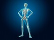 © SuperStock - X-ray view of a human skeleton posing