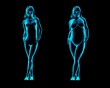 © SuperStock - Obese and thin women posing in catwalk style, X-ray image