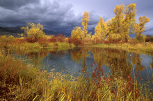 Storm Clouds Over Peggy's Pond, Jackson Hole, Wyoming, USA