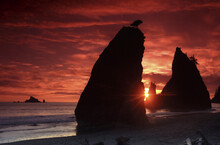 Silhouette Of Rocks On A Beach At Sunset, Rialto Beach, Olympic National Park, Washington State, USA