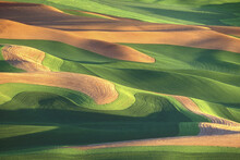 High Angle View Of Rolling Landscape, Steptoe Butte State Park, Washington State, USA