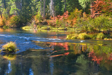 Reflection Of Trees In Water, Rogue River, Rogue River National Forest, Oregon, USA