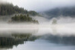 © SuperStock - Reflection of trees in water during fog, Great Bear Rainforest, British Columbia, Canada