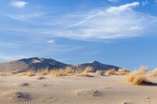 USA, California, Mohave National Preserve, Kelso Dunes