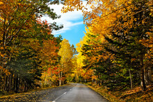 USA, Maine, Mt Desert Island, Acadia National Park, Autumn Scenic Drive