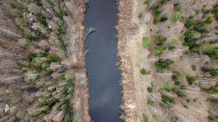 aerial view of spring forest river. beautiful landscape. natural background