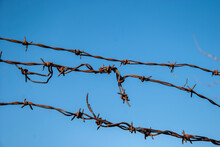 Border Weathered Steel Iron Barbed Wire Fence Barbed Wire Detail Closeup