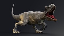Allosaurus Dinosaur Of Background. 3d Rendering