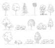 手書きスケッチの樹木の立面添景（ベクター素材）