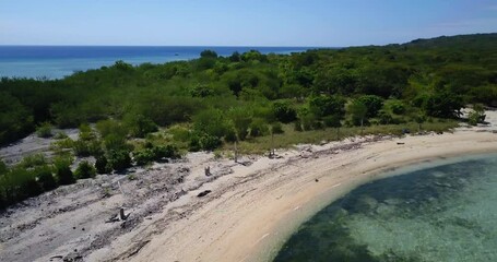 Wall Mural - Menjangan Island, bali, Indonesia. Aerial drone view. Slow flight along the coastline of sand and mangroves.