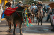 Tradicional paseo del pendón en Guerrero y recorrido del Toro por el pueblo 