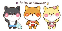 Set Of Shiba Inu In Summer Hand Drawn.Cute Cartoon Character Design.Animal Doodle Collection.Japanese Dog.Kawaii.Image For Card,poster,children Wearing.Mascot.Vector.Illustration.