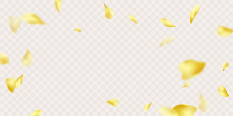 3d rendering of falling sunflower petals on a white background