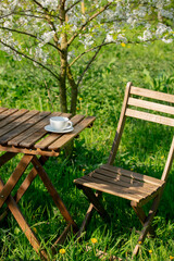 Cup of coffee or tea on wooden table next to blooming tree in a garden