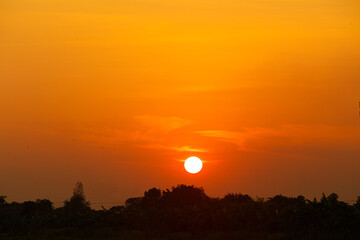 Sunset with beautiful orange evening sky and silhouette of trees