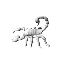 Polygonal Model Of A Scorpion Isolated On A White Background. 3D. Vector Illustration.