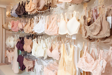 Wall Mural - Many different beautiful women's underwear in lingerie store