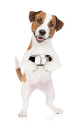 Aufkleber - Hungry jack russell terrier puppy holds empty bowl. isolated on white background