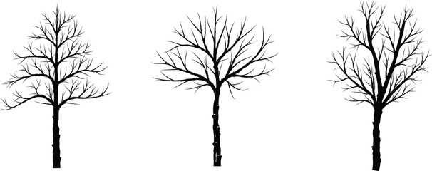 set of three silhouette tree trunk.