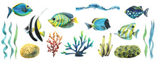 Watercolor Illustration Set With Various Tropical Fish, Algae, Corals And Sea Sponges. Bright, Juicy. For Decoration And Design Of Souvenirs, Posters, Postcards, Prints, Banners.