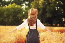 Back View Of Young Woman In Hat Walking Across Golden Wheat Field And Touching Wheat Ears