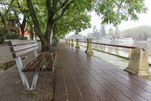 City Bench Under A Tree In A Rainy Day Close To A River At Carmelo, Colonia, Uruguauy
