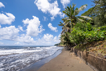 Wall Mural - black sand beach on tahiti, french polynesia