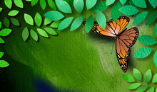 Spring Butterfly With Leaves Background Graphic