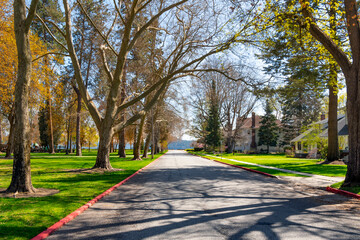 Wall Mural - A shaded tree lined street of Victorian and historic homes across from the city park with the lake in view in historic Fort Grounds district of Coeur d'Alene, Idaho, USA.