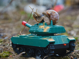 An ordinary garden snail on a toy tank against the background of nature.