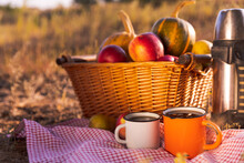 Autumn Picnic In The Forest. Hot Spicy Tea, Pumpkins And Apples. Nature. Vacation Concept