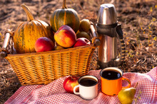 Autumn Picnic In The Forest. Hot Spicy Tea, Pumpkins And Apples. Nature. Vacation Concept