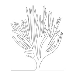 Wall Mural - algae drawing in one continuous line, isolated, vector
