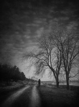 Lonely Nomad Person Walking A Country Road. Moody And Calm Evening, Black And White Scene. Wanderer Silhouette On Trail. Cold Season Idyllic Rural Landscape With Leafless Trees And Dry Grass
