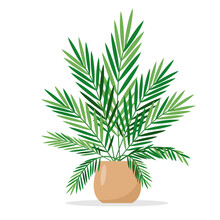 Tropical Palm Icon Isolated On White Background. Decorative Indoor House Plant In Flower Pot. Flat Or Cartoon Icon Vector Illustration For Home Or Office Decor And Botanical Design.