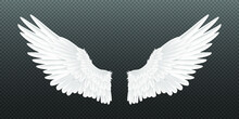 Realistic Angel Wings. White Isolated Pair Of Falcon Wings, 3D Bird Wings Design Template. Vector Concept White Feathered Wing Animal On A Transparent Background.