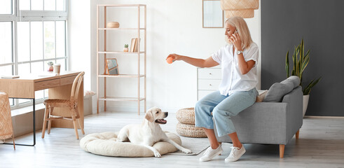Wall Mural - Mature woman talking by phone while playing with cute Labrador dog at home